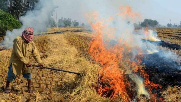 Punjab