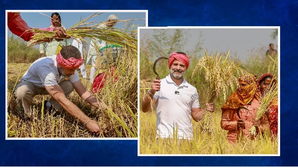 Rahul Gandhi Chhattisgarh Visit
