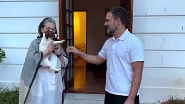 Rahul Gandhi Gift Sonia Gandhi pet dog Noorie