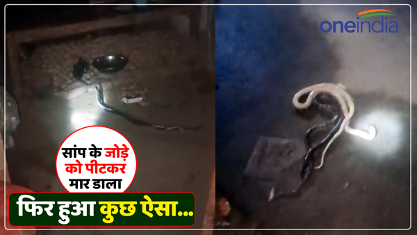 beating-a-pair-of-snakes-in-budaun-up-viral-video