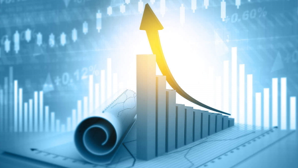 Danube Industries Limited