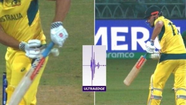 stoinis