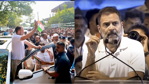 rahul gandhi on kcr nepotism rahul gandhi on kcr nepotism