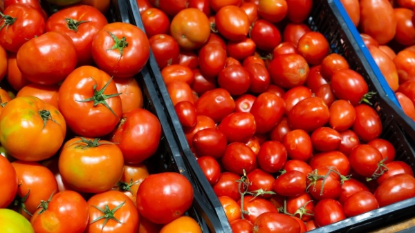 Tomato prices update Tomato prices update
