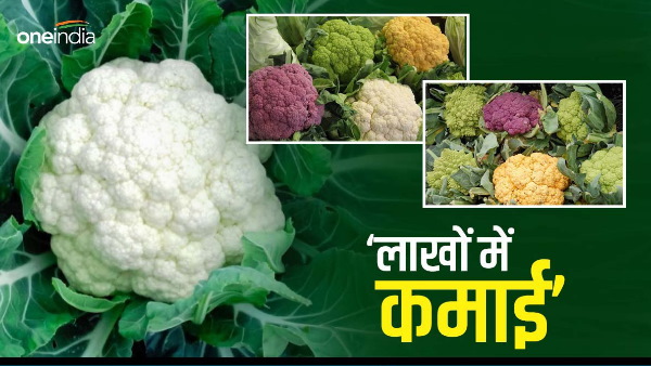 Vegetables Farming Tips 