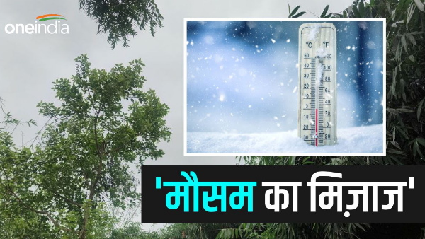 Bihar News: Pink cold knocks in the state, weather will remain clear for two days news update hindi
