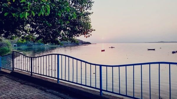 Change in weather in MP due to northern cold winds, slight coolness at night increased
