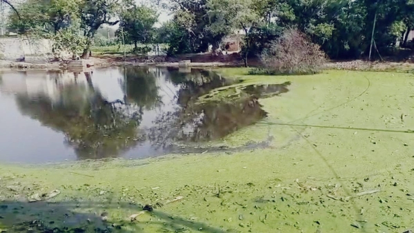 Graveyard becomes pond, no land available for burial in Dharamgarh Panchayat