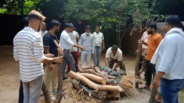 Five month old white tiger dies in Gandhi Zoological Park, brother cub died 15 days ago Five month old white tiger dies in Gandhi Zoological Park, brother cub died 15 days ago