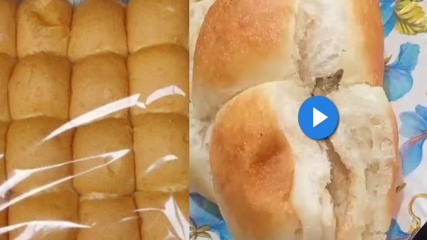 dead lizard found in pav packet