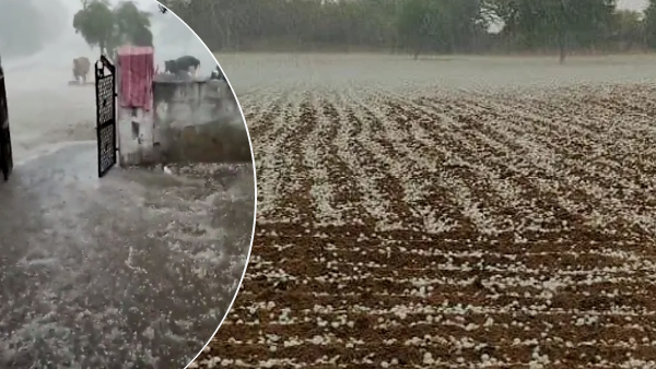 Rajasthan Weather update 