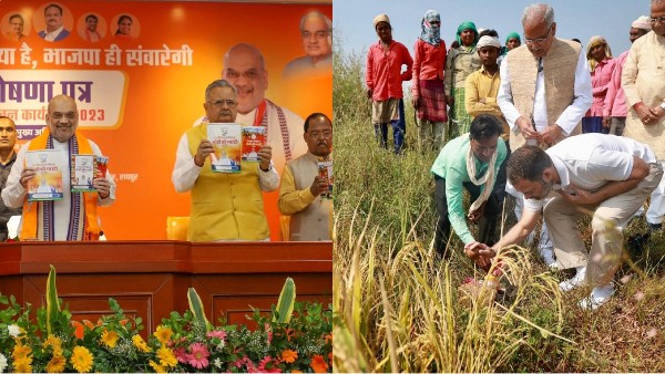 chhattisgarh election bjp and congress