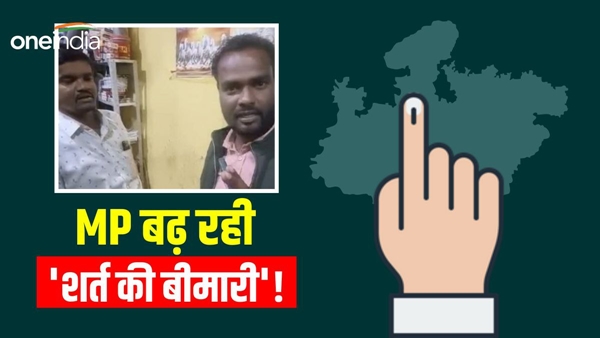 Chhindwara-news-who-is-winning-elections-in-MP-placed-bet Chhindwara-news-who-is-winning-elections-in-MP-placed-bet