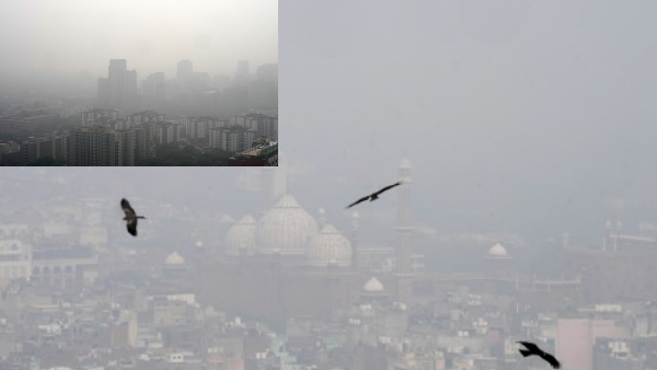  Delhi Pollution