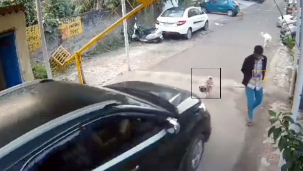 viral cctv video of a car running over pet dog in indirapuram of ghaziabad viral cctv video of a car running over pet dog in indirapuram of ghaziabad
