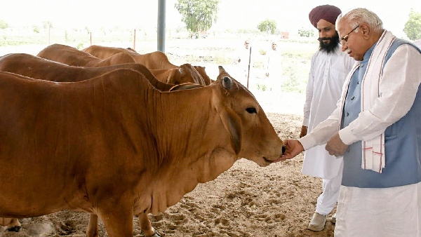 haryana cm manohar lal khattar