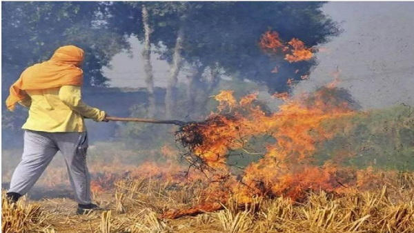 Haryana