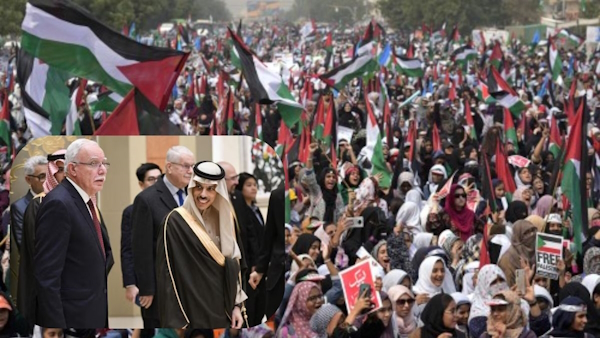 Islamic delegation visiting india 