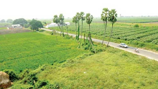 land