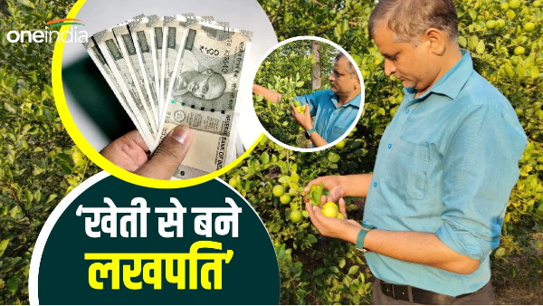 Left the job of engineer and started lemon farming, profit worth lakhs farming tips bihar news