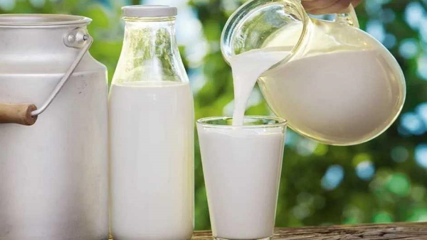 milk