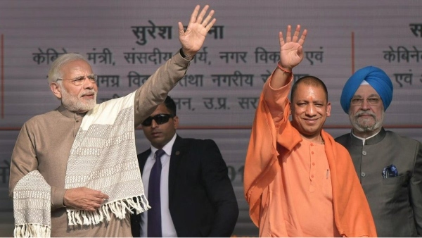 yogi