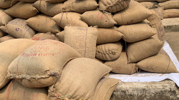 ओडिशा: धान खरीद केंद्रों पर सुविधाओं की कमी से किसान चिंतित