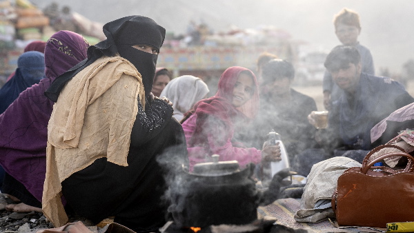 ttp becomes hamas of pakistan