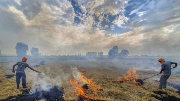  stubble burning