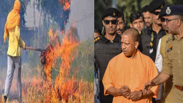 cm yogi 