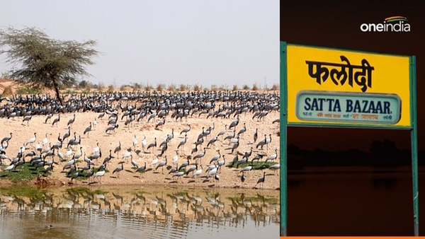 Phalodi Satta Bazaar 