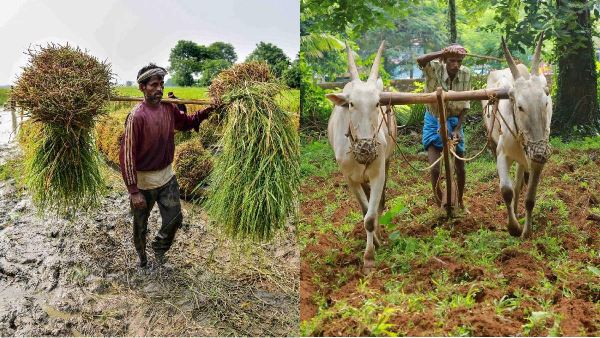 pm kisan samman nidhi 15th instalment