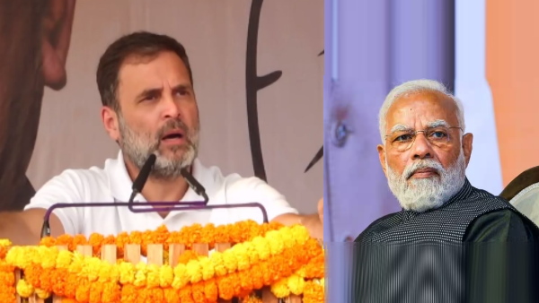 RAHUL MODI RAHUL MODI