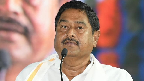 Revenue Minister over Andhra development