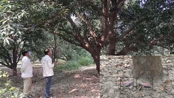 boy found hanging on a tree in garden of former foreign minister Salman Khurshid in Farrukhabad