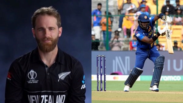 williamson and mathews