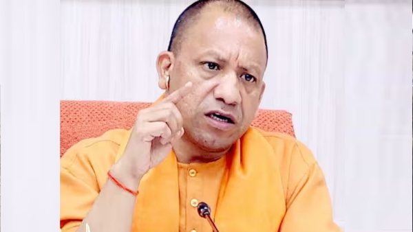 yogi