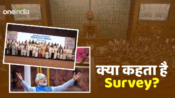 Lok Sabha Election 2024 Survey