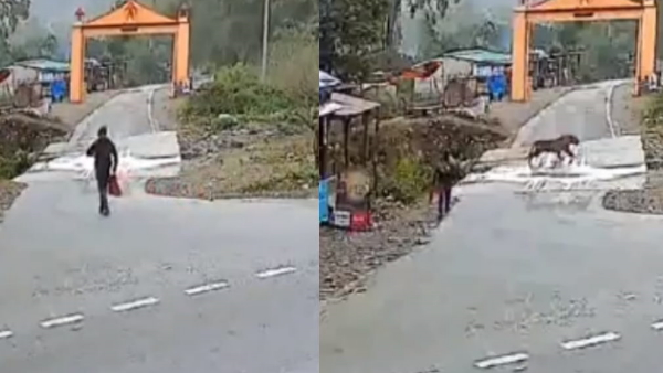 Uttarakhand Man narrowly escapes with tiger