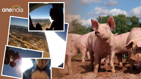 camera fell down from plane