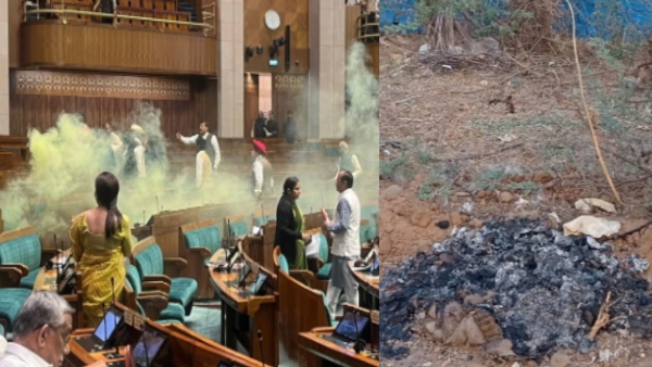 Parliament security breach,