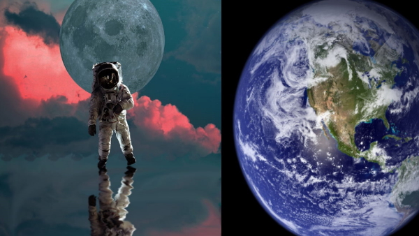 First creature who got pregnant in space