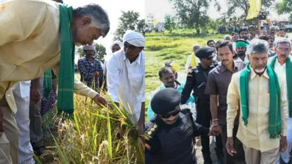 Andhra CM 