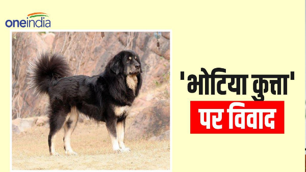 Know why controversy broke out on calling Bhotiya a dog particular tribe protested these steps taken