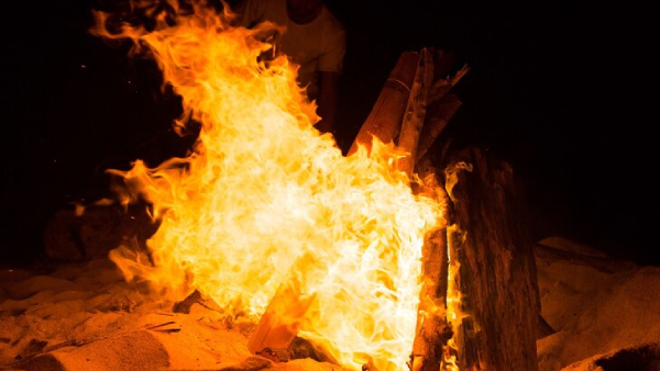 Rajasthan Alwar News Rajasthan Alwar News