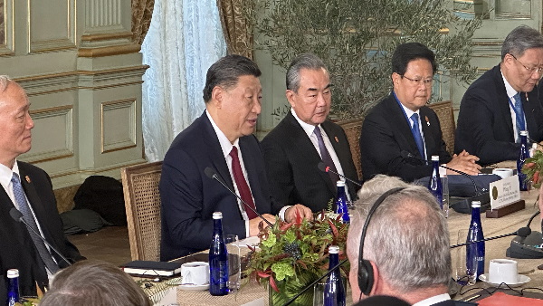 chinese diploamcy panda and wolf chinese diploamcy panda and wolf