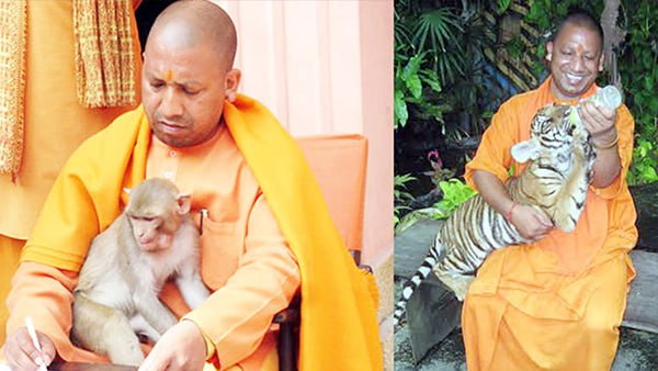 cm yogi