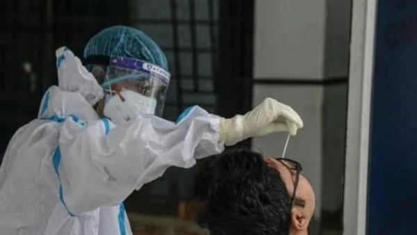 COVID-19 new variant JN.1