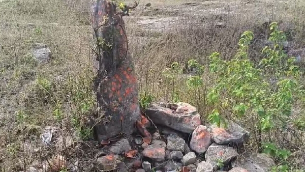 Dinosaur Egg Worship: Dinosaur Egg Worship: