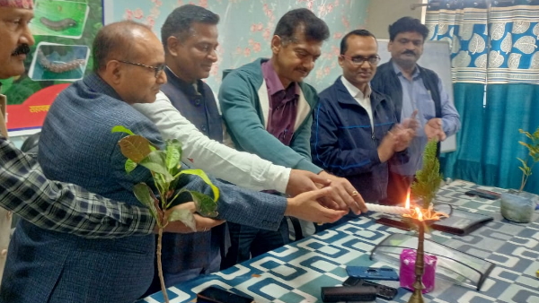 50 percent subsidy for pesticides, 75 percent subsidy for spraying mango and guava, Gaya News